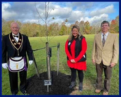 The Liberty Tree Project