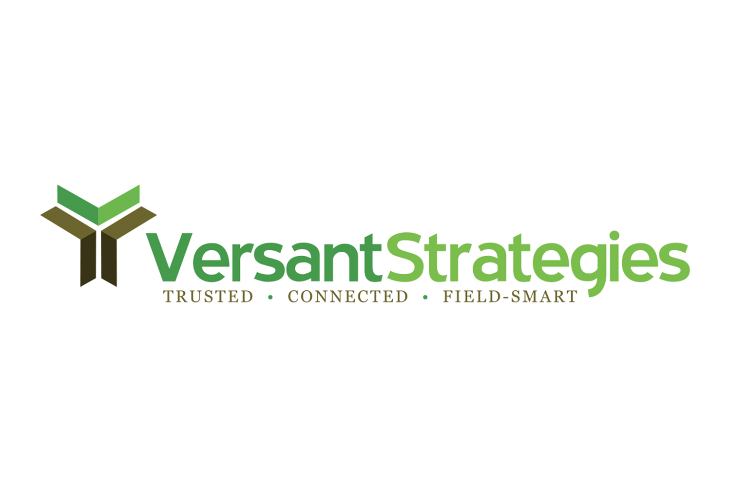 Versant Strategies